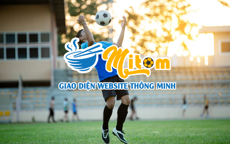 https://cdn.mitomtvd.cc/2022/08/giao-dien-website-thong-minh-de-dang-su-dung.jpg
